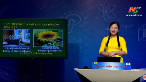 M&ocirc;n Sinh học - Lớp 9: Ảnh hưởng của &aacute;nh s&aacute;ng l&ecirc;n đời sống sinh vật |Dạy học tr&ecirc;n Truyền h&igrave;nh
