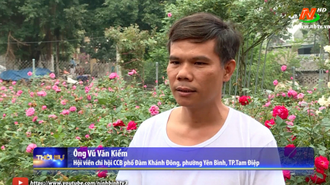 Người cựu chiến binh gương mẫu