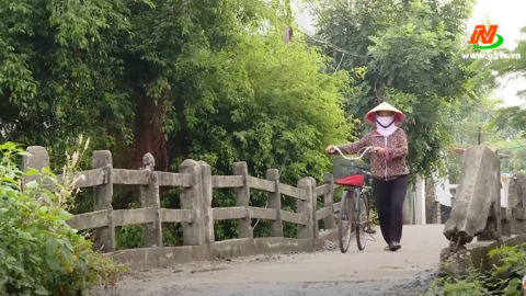Khắc phục t&igrave;nh trạng cầu cũ, hỏng tr&ecirc;n địa b&agrave;n huyện Kim Sơn
