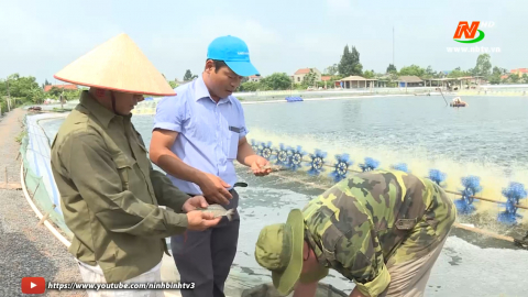 Kim Sơn n&acirc;ng cao ti&ecirc;u ch&iacute; thu nhập trong x&acirc;y dựng N&ocirc;ng th&ocirc;n mới