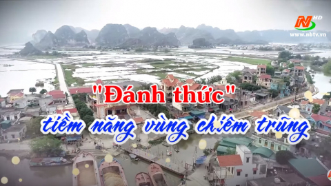  Đ&aacute;nh thức tiềm năng v&ugrave;ng chi&ecirc;m trũng