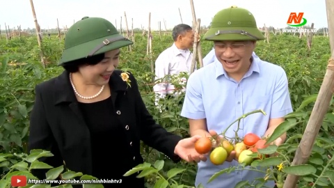 Sức sống mới tr&ecirc;n qu&ecirc; hương Y&ecirc;n M&ocirc; 