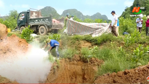 Tăng cường ph&ograve;ng, chống dịch tả lợn Ch&acirc;u Phi