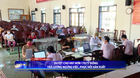 Thời sự Tối NinhBinh TV - 22/8/2021