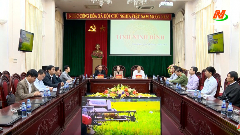 Tiếp tục đảm bảo an ninh lương thực vững chắc