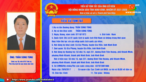 Tiểu sử t&oacute;m tắt v&agrave; chương tr&igrave;nh h&agrave;nh động của &ocirc;ng Trần Song T&ugrave;ng - Ứng cử vi&ecirc;n ĐB HĐND tỉnh, đơn vị bầu cử số 3.