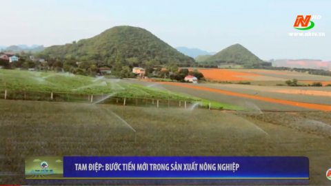 Tam Điệp - Bước tiến mới trong sản xuất n&ocirc;ng nghiệp
