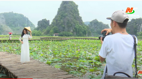 Hoa Sen trong văn h&oacute;a Việt Nam