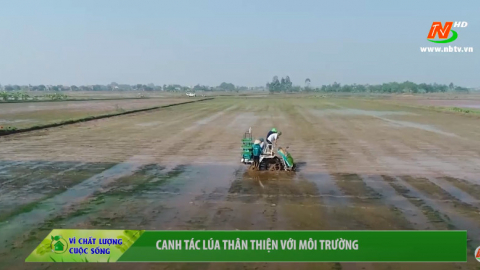V&igrave; chất lượng cuộc sống: Canh t&aacute;c l&uacute;a th&acirc;n thiện với m&ocirc;i trường