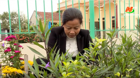 V&igrave; chất lượng cuộc sống: Con đường hoa m&ugrave;a xu&acirc;n
