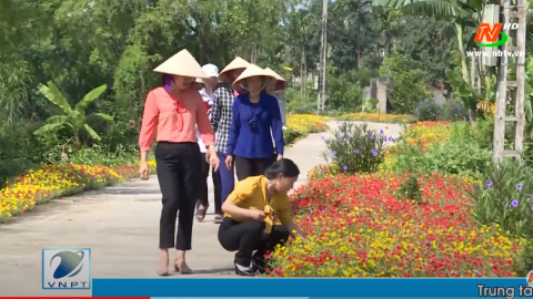 V&igrave; chất lượng cuộc sống: Đảm bảo vệ sinh m&ocirc;i trường ở khu d&acirc;n cư