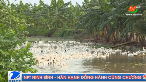V&igrave; chất lượng cuộc sống: &Ocirc; nhiễm m&ocirc;i trường từ chất thải chăn nu&ocirc;i