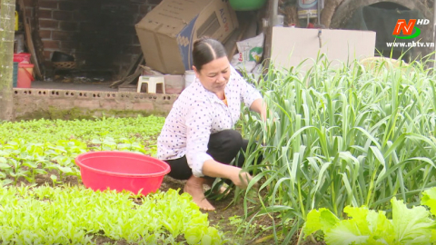 V&igrave; chất lượng cuộc sống: Phụ nữ Y&ecirc;n Nh&acirc;n x&acirc;y dựng m&ocirc; h&igrave;nh nh&agrave; sạch vườn đẹp