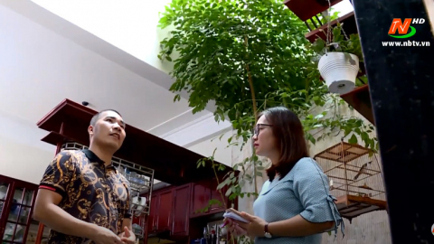 V&igrave; chất lượng cuộc sống: S&aacute;ng tạo kh&ocirc;ng gian xanh