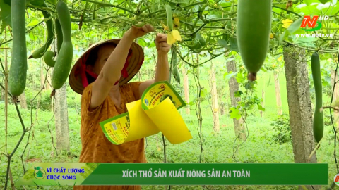 V&igrave; chất lượng cuộc sống: X&iacute;ch Thổ sản xuất n&ocirc;ng nghiệp an to&agrave;n