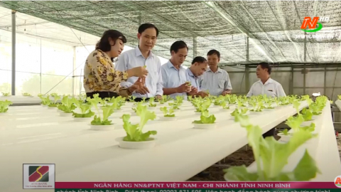 Đẩy mạnh sản xuất h&agrave;ng h&oacute;a để x&acirc;y dựng N&ocirc;ng th&ocirc;n mới