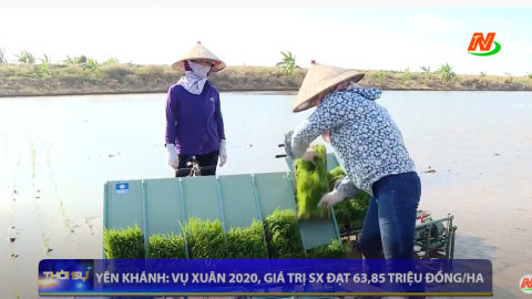 Y&ecirc;n Kh&aacute;nh: Vụ Xu&acirc;n 2020, gi&aacute; trị sản xuất đạt 63,85 triệu đồng/Ha
